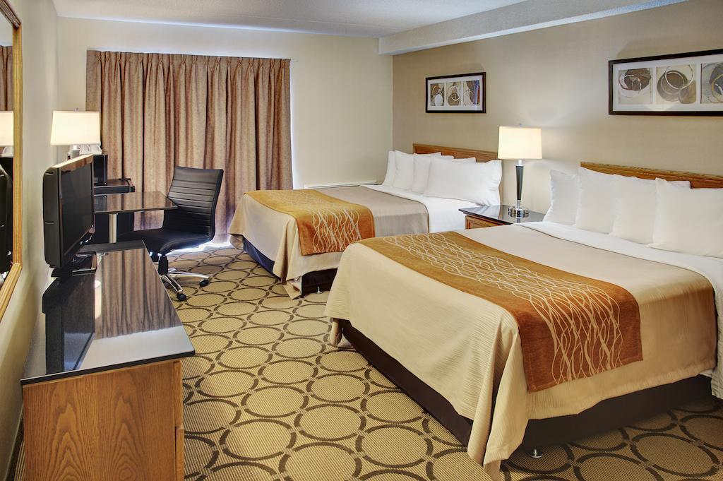 Comfort Inn Πέμπροκ Εξωτερικό φωτογραφία